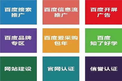 热门信息流广告投放公司案例分析